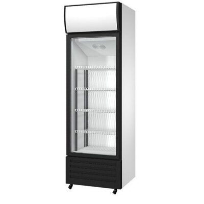 Armario Expositor Refrigerado 300 Litros LC-300